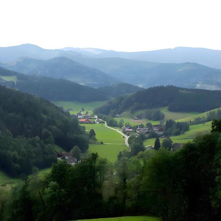 Ruhige Schwarzwald Ferienwohnung Buchenbach  Kültér fotó