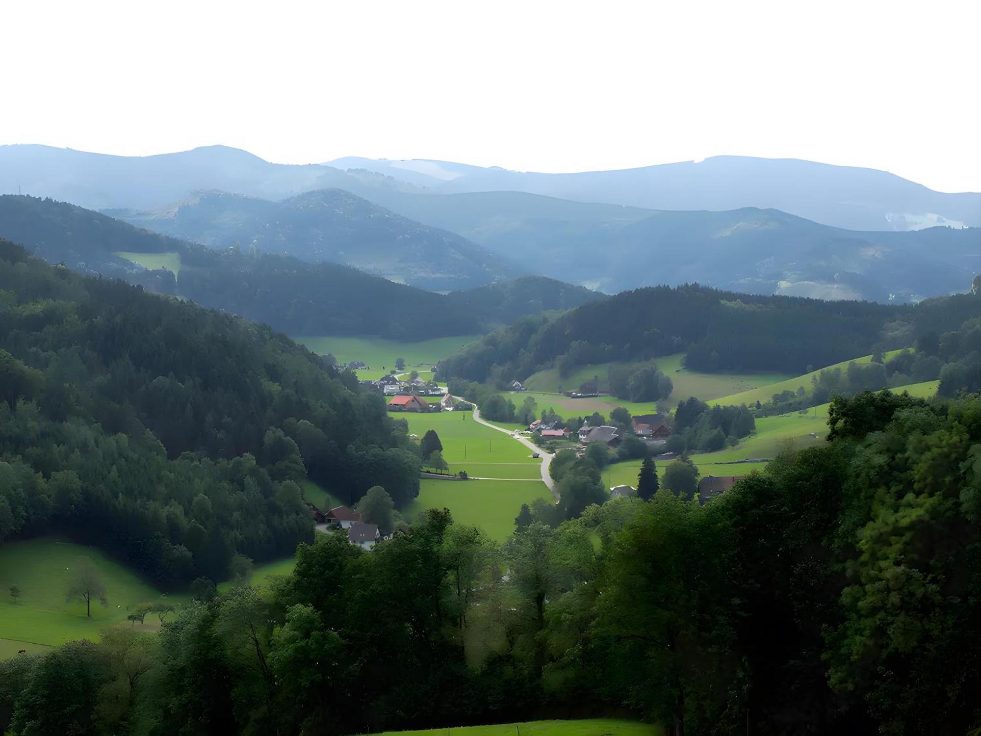 Ruhige Schwarzwald Ferienwohnung Buchenbach  Kültér fotó
